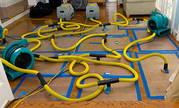 Professional Storm Water Damage Restoration technician working in Onalaska, WA